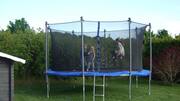 Trampoline workouts v/s hiking: Which burns more calories?