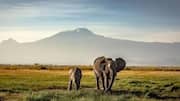 You must visit these wildlife sanctuaries in Botswana 