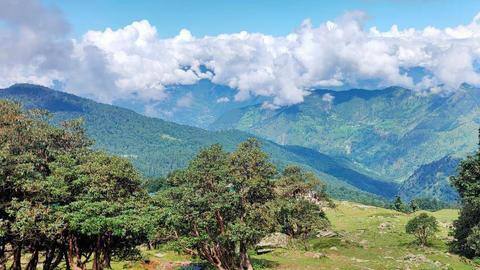 Fifty-one of 141 Uttarakhand village residents test positive for COVID-19 Fifty-one of 141 Uttarakhand village residents test positive for COVID-19