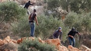 Israeli settlers attack European diplomats in West Bank