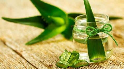 Aloe vera oil: Benefits and how to make at home Aloe vera oil: Benefits and how to make at home
