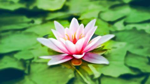 5 ways meditation helps you 5 ways meditation helps you