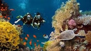 Egypt's Red Sea coast: An underwater paradise for divers 