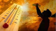 Scientists warn El Nino could hit India later in 2026