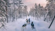 Finland's Lapland: 5 wonderful things to do
