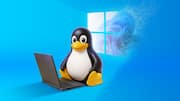 Why Netherlands is switching from Windows to Linux