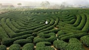 Labyrinth walking: 5 health benefits you didn't know