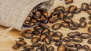 Why watermelon seeds should be your go-to snack 