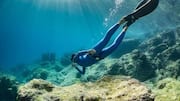 These lagoons are perfect for freediving lovers