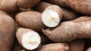 What is cassava paste? Why is it used in skincare? 