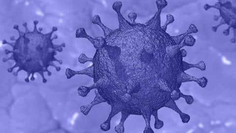 New drug target to treat coronavirus, fight future pandemic found New drug target to treat coronavirus, fight future pandemic found