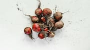 How to use beetroot in creative ways