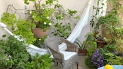 Give your small balcony a green makeover