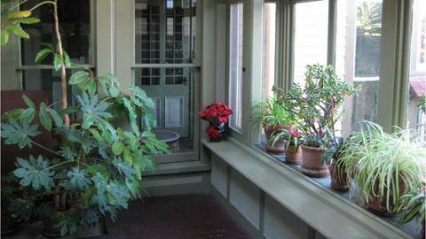 How to cool your home amid intense heatwave How to cool your home amid intense heatwave
