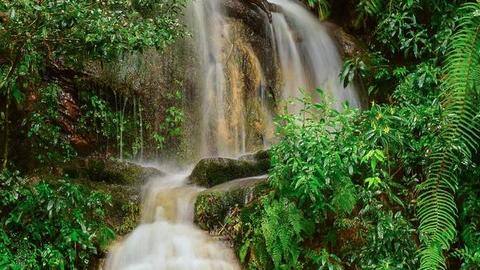 Top 5 things to do in Meghalaya Top 5 things to do in Meghalaya
