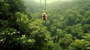 Jungle canopy tours on your list? Here's where to go 