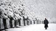 Fresh snowfall in parts of Kashmir; light rain in Delhi-NCR