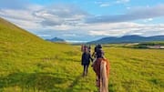 Discover Iceland's untouched landscapes on horseback