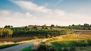 Portugal's countryside is every nature lover's dream!