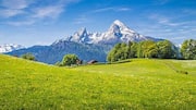 Slovenia's most breathtaking alpine meadows: A list 