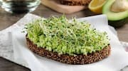 Avocado toast with sprouts: 5-minute recipe