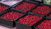 5 dried berries that make every meal better