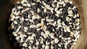 Why sesame and jaggery make a healthy snack