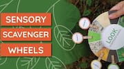 What exactly are sensory scavenger hunts