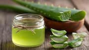 How to use aloe vera gel for healthier hair