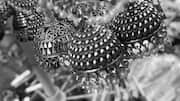 Timeless oxidized silver jewelry trends to try 