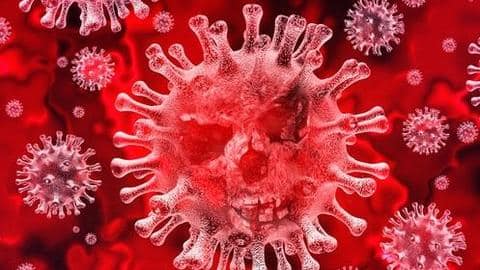 UK variant of coronavirus linked to significantly higher death rate UK variant of coronavirus linked to significantly higher death rate