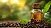 5 traditional uses of clove oil 