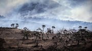 Key takeaways from the UN's latest climate change report