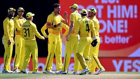 IND vs AUS: Starc, Marsh, Stoinis to miss T20I series IND vs AUS: Starc, Marsh, Stoinis to miss T20I series