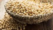 Soybean prices jump 41%, forcing Indian traders to cancel exports