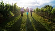 Grapevine walking: This side-to-side walk can make you more agile