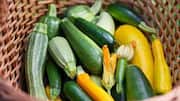 Zucchini v/s bell peppers: Comparing their nutrition