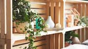 Transform your space with vintage wooden crates