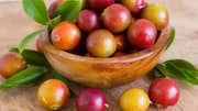 Camu camu: A tiny berry with many benefits