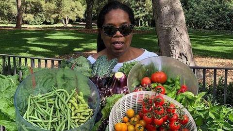 These 5 celebrities just love, love plants! These 5 celebrities just love, love plants!