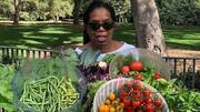 These 5 celebrities just love, love plants!