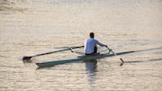 Climbing or rowing: Which workout should you choose?
