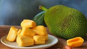 5 jackfruit salad recipes you'll love