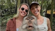 Did Australian cricketer Ashleigh Gardner cheat on wife with teammate?