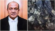 All 3 charges against Justice Yashwant Varma proven: Parliament panel