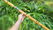 Playing bamboo flute can improve your health: Here's how