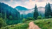 You must visit these nature reserves in Scandinavia