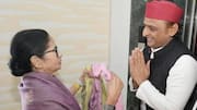 'Didi defeated ED...now BJP': Akhilesh Yadav extends support to Mamata