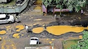 Mumbai received over 8,000 pothole complaints this monsoon