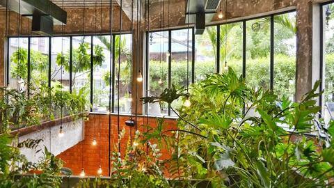How to keep your home cool naturally this summer How to keep your home cool naturally this summer